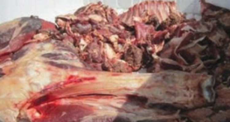 	کشف و ضبط بیش از ۶۰ هزار تن گوشت آلوده در کرمانشاه 