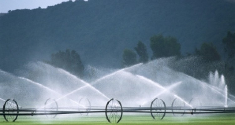 	تجهیز بیش از 4 هزارهکتار از اراضی سرپل ذهاب به سیستمهای نوین آبیاری/ صرفه جویی 70درصدی درمنابع آبی شهرستان 