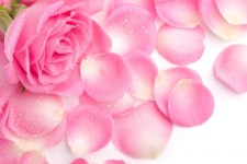  فوت و فن اپیلاسیون هر قسمت از بدن 