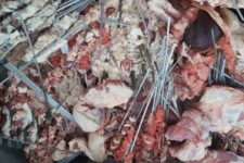 	پلمب۳مرکزتوزیع مواد غذایی درکرمانشاه/ ۸۰۰ کیلو گوشت غیرمجازکشف شد 