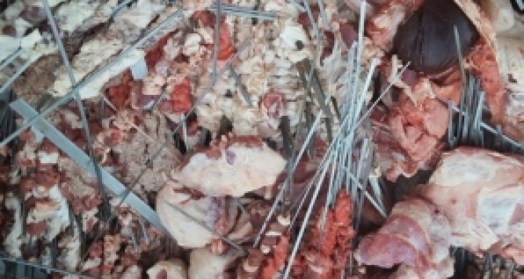 	پلمب۳مرکزتوزیع مواد غذایی درکرمانشاه/ ۸۰۰ کیلو گوشت غیرمجازکشف شد 