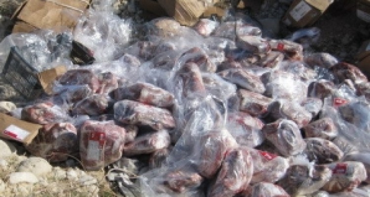 	امحاء بیش از ۳۱۱ هزار کیلوگرم فرآورده خام دامی ناسالم در کرمانشاه 