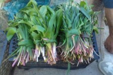  بازار داغ فروش گیاهان خوراکی در سرپل ذهاب/ خواص دارویی گیاهان خوراکی بهاری 