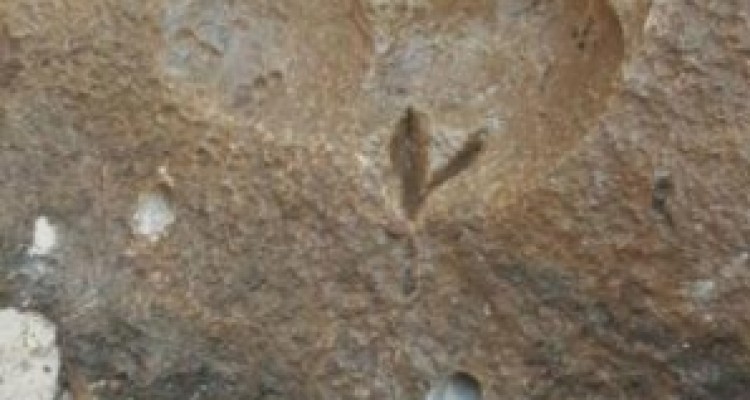 	یک اثر سنگی در روانسر پیدا شد 