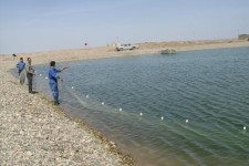 	وقتی اقتصاد مقاومتی درون آب معنا می شود/ تجهیز سلاح اقتصاد با کمک ماهی های گرمابی در قصرشیرین 