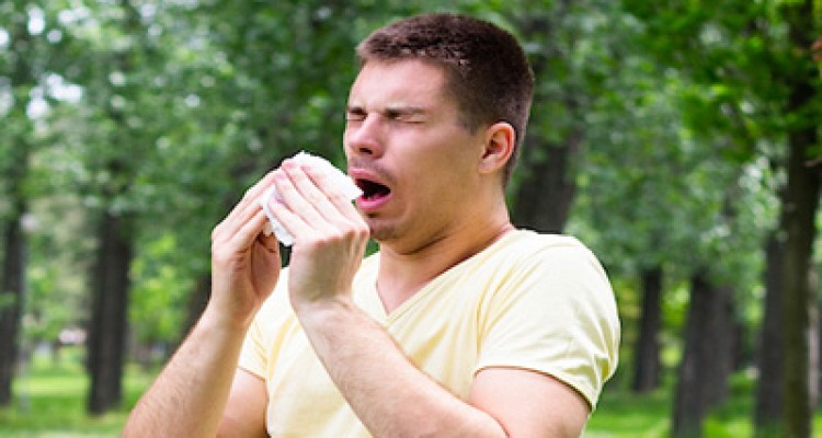  اگر آلرژی بهاری دارید این ها را نخورید 