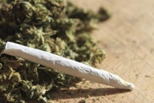  فاجعه ای جدید به نام حشیش مصنوعی! 