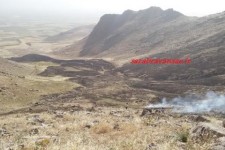 	15 هکتار از مراتع شهرستان روانسر جزغاله شد/ مردم و بسیج آتش را مهار کردند 