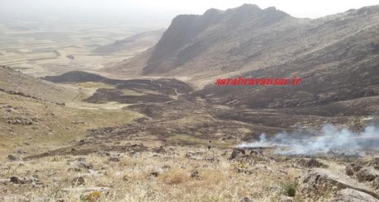 	15 هکتار از مراتع شهرستان روانسر جزغاله شد/ مردم و بسیج آتش را مهار کردند 