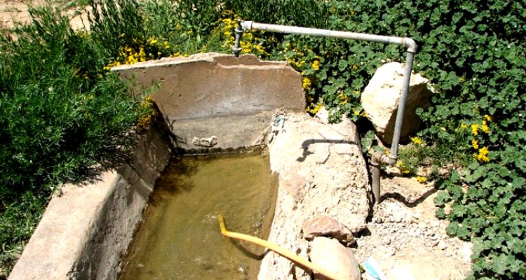 روستایی میر عزیزی شهرستان صحنه در فصل گرم سال از آب آشامیدنی سالم بی بهره است
