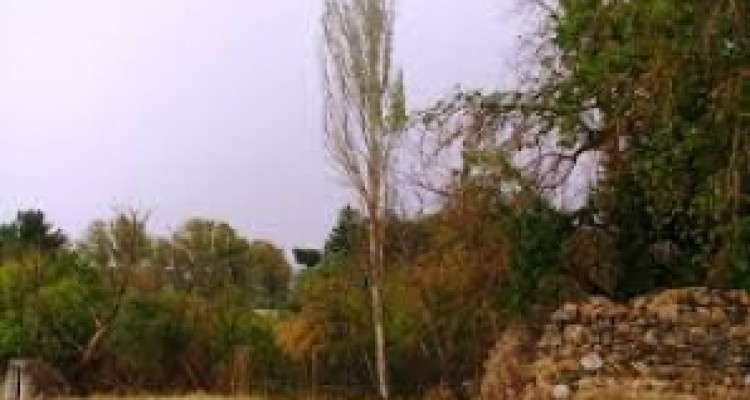 	ساخت و ساز و تغییر کاربری در باغات «سراب قنبر» کرمانشاه ممنوع است 