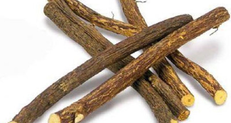  تقویت سیستم ایمنی بدن با مصرف «شیرین‌بیان» 