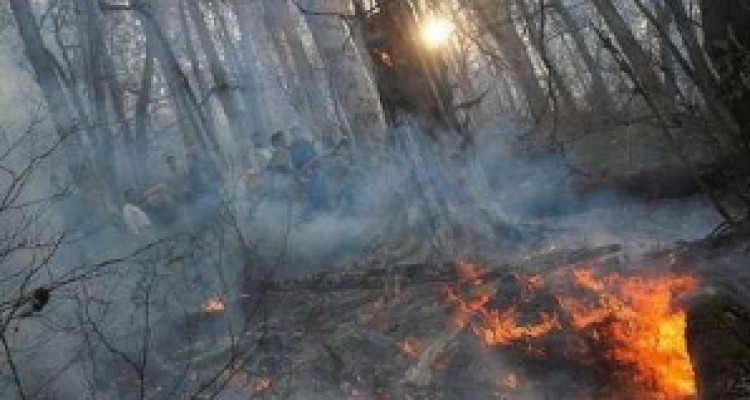 	آتش سوزی در مراتع بخش مرکزی کرمانشاه/ ۵۰ هکتار مرتع سوخت 