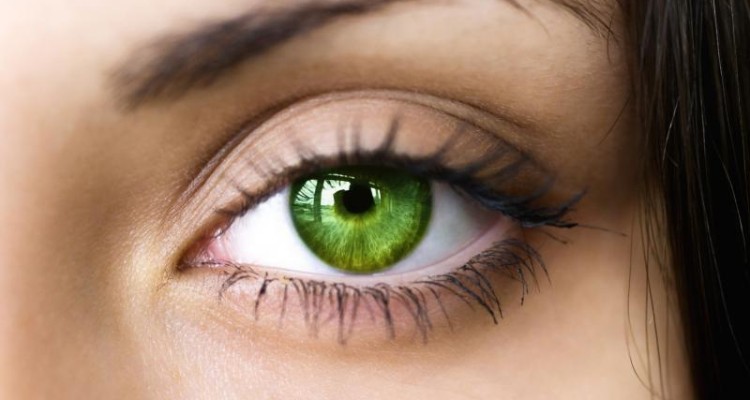  برای حفظ سلامت چشم چه بخوریم؟ 