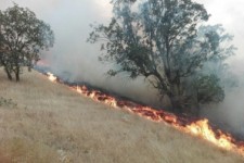 	عملکرد نامطلوب در کنترل آتش سوزی جنگلهای کرمانشاه/ نتیجه یک غفلت سیاسی از مدیریت بحران؟ 