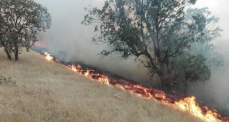 	عملکرد نامطلوب در کنترل آتش سوزی جنگلهای کرمانشاه/ نتیجه یک غفلت سیاسی از مدیریت بحران؟ 