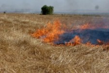 	کشاورزان از آتش زدن مزارع پس از برداشت محصول پرهیز کنند 