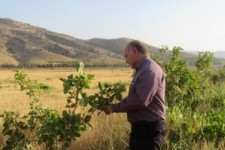 	جوانه های امید در گیلانغرب با کمک بسیج سازندگی/ همتی برای اصلاح باغ ها و اقتصاد + تصاویر 