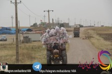 	اعتراض تجار به کاهش واردات از مرز تا دلایل شورای ساماندهی مبادلات مرزی/ اقتصاد مقاومتی حلقه مفقوده اشتغال در مرز ها 