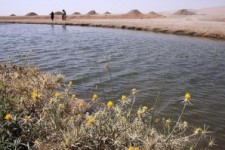 	وجود ۸۰ سراب در استان کرمانشاه/ وضعیت تالاب ها مطلوب است 