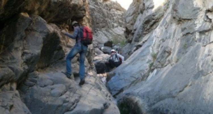 	اثری از کوهنورد کرمانشاهی پیدا نشد 