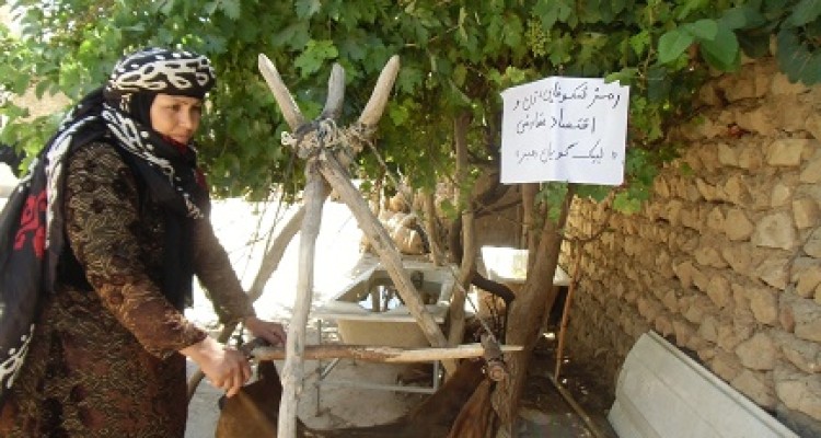 	نقش زنان روستایی در اقتصاد مقاومتی 