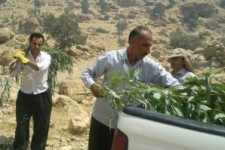  کوه بمو در ثلاث باباجانی دوباره آتش گرفت 