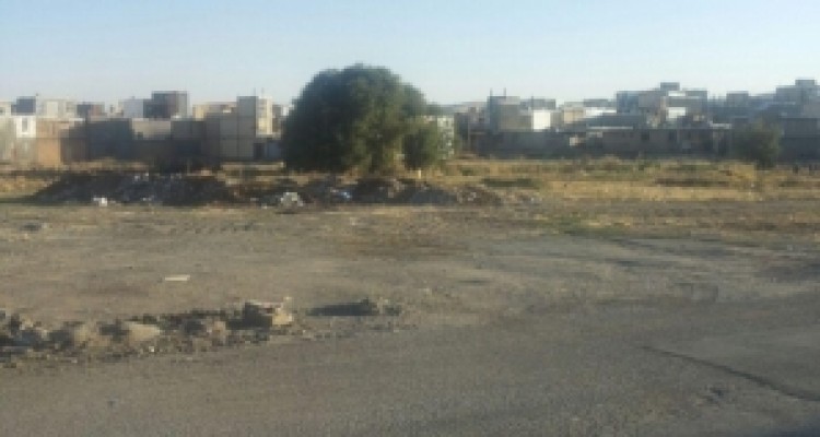  زیر درخت پل چوبی گل سفید روانسر چه خبر است؟ + عکس 