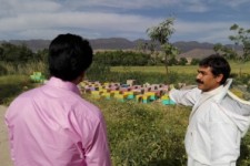 عبور از بن بست محرومیت گیلانغرب با کلونی های زنبور عسل/ گام های بلند بسیج سازندگی در حوزه اقتصاد مقاومتی+ تصاویر