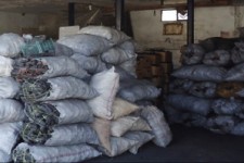 	کشف و توقیف 40 کیسه زغال در مبادی ورودی هرسین 