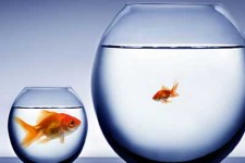 دست از مقایسه کردن زندگی‌تان بردارید