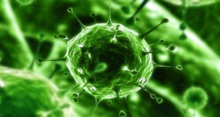 محققان هفت عامل جدید دیگر را به فهرست مواد سرطان زا اضافه کردند