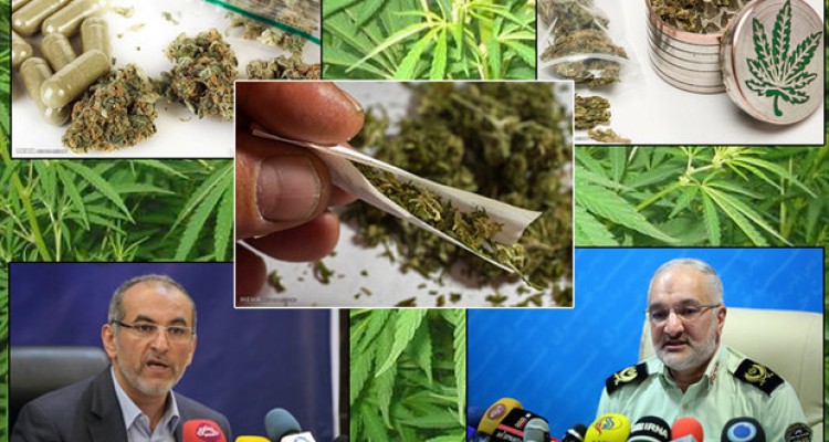 جهش‌های آزمایشگاهی موادمخدر/ کشت «گل» درگلدان‌های خانگی!