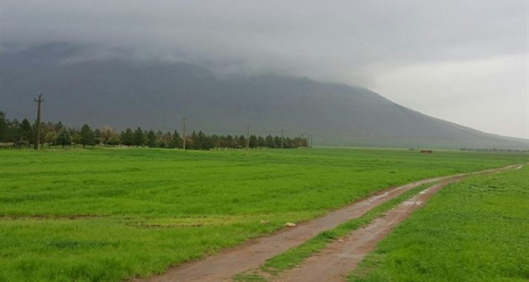 تصاویر زیبای بهاری از طبیعت شهرستان صحنه