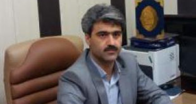 قارچهای سمی اسلام آبادغربی‌ها را هم راهی بیمارستان کرد 