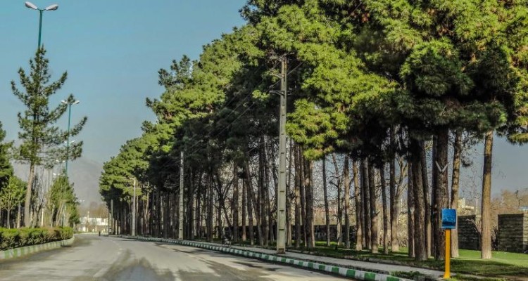 دمای هوای شهرستان صحنه افزایش پیدا می کند