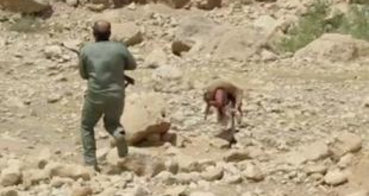 درگیری محیط‌بانان با شکارچیان غیرمجاز / مصدومیت ۳ نفر 