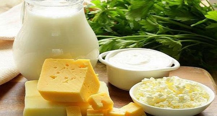 پروبیوتیک ها تاثیری در کاهش استرس ندارند