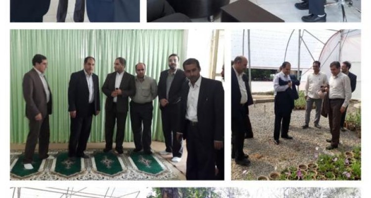 مدیر کل حراست استانداری کرمانشاه از پروژه های شهرداری صحنه بازدید کرد