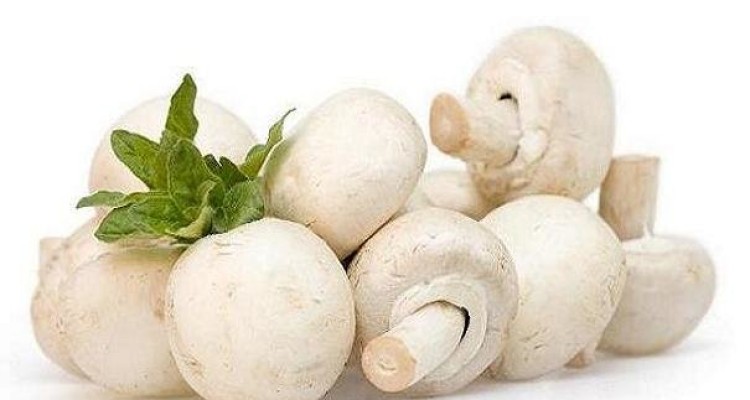 افراد دیابتی قارچ سفید مصرف کنند
