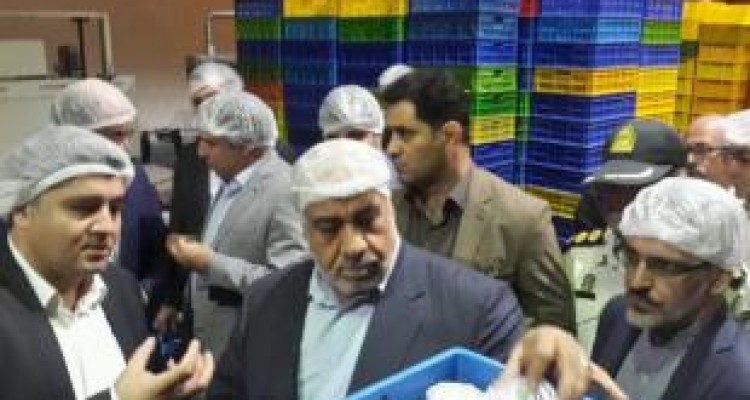 بازدید مدیر ارشد کرمانشاه از کارخانه‌های تولیدی 