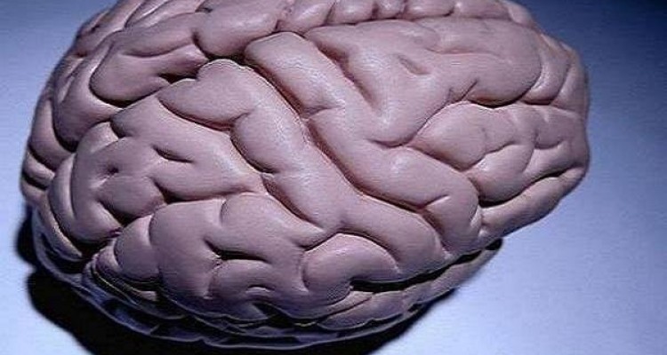 کم آبی بدن به مغز آسیب می رساند