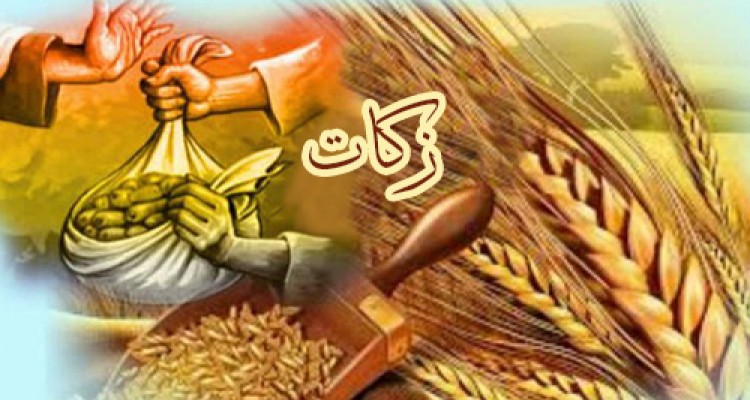  زکات، کلید دریافت رحمت الهی است
