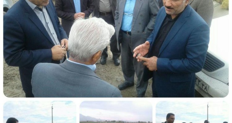 معاون وزیر جهاد کشاورزی از مزارع کلزای شهرستان صحنه بازدید کرد