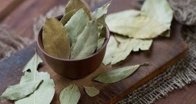 برگ بو به کنترل قندخون کمک می کند