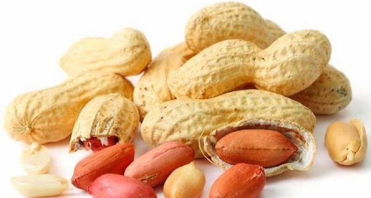 درمان جدید مقابله با آلرژی به بادام زمینی