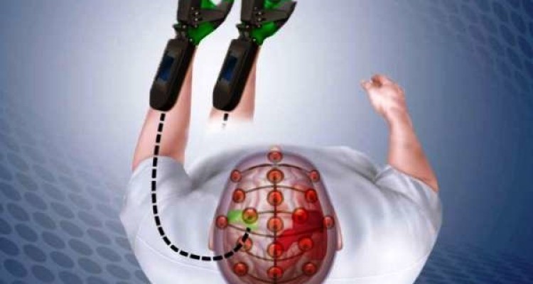 ژن حیاتی برای بهبود بعد از سکته شناسایی شد
