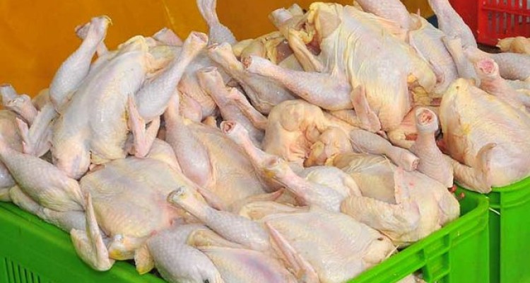 کشتارگاه چهار هزار قطعه ای شهرستان صحنه  در دست احداث است