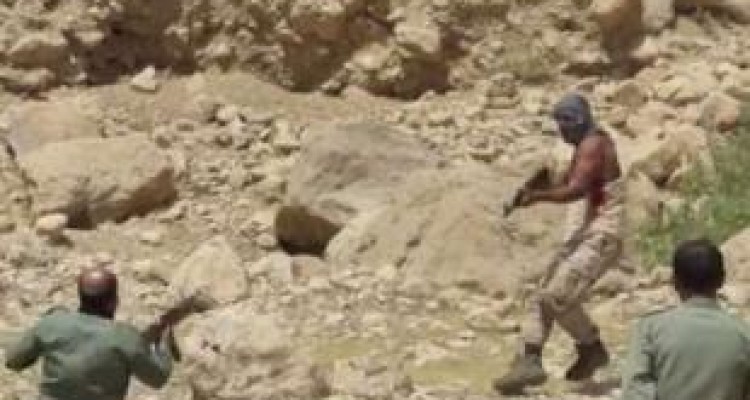 حمله شکارچیان غیرمجاز به محیط‌بان گیلانغربی 