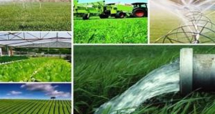 رتبه چهارم کرمانشاه در سهمیه تسهیلات اشتغالزایی روستاییان 